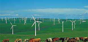 內蒙古大唐國際觀後旗紅牧風電場一期工程